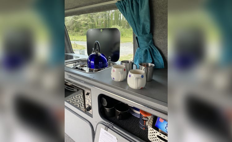 Bluey – Camper VW a 2 posti letto del 2008