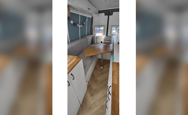 Ivy – Iveco Daily uit 2013 voor 2 personen