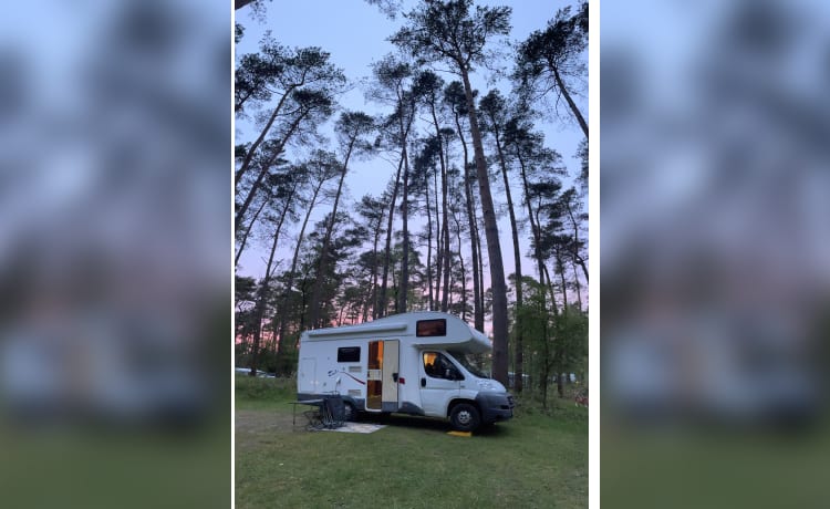 6p alkoof Fiat Ducato met stapelbed 