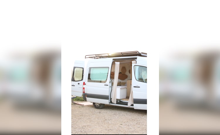 Tao the Van – Camping-car Mercedes Sprinter neuf Automatique