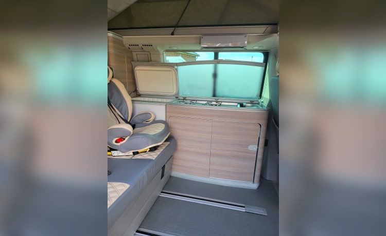 Laya – VW California 4 berth camper van 