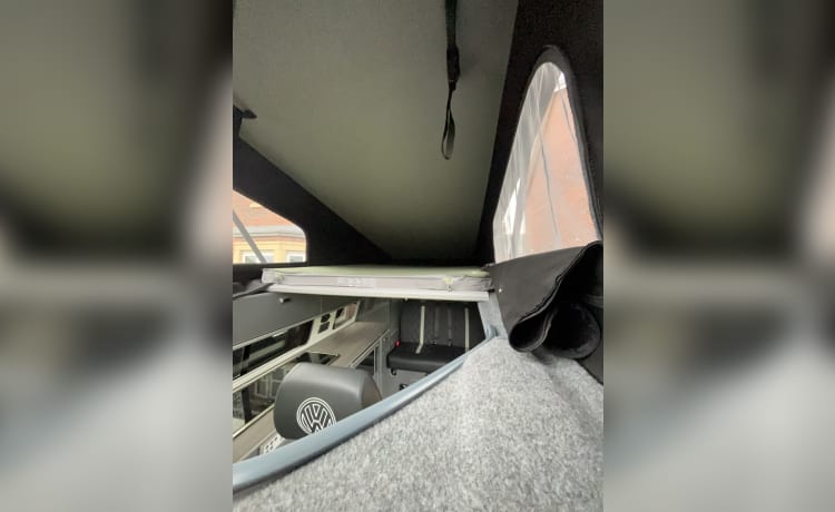 Caora  – 4-persoons Volkswagen High Spec campervan uit 2020