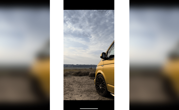 Goldbug – 4-persoons Volkswagen campervan uit 2019