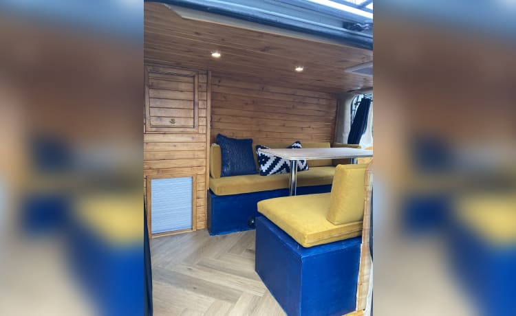 Bumble-Bee – 3 berth Ford campervan from 2017