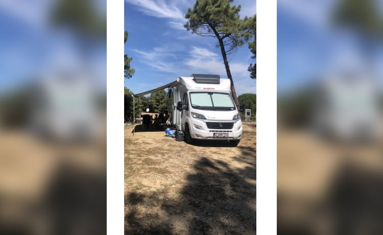 fiat ducato dethleff automatico