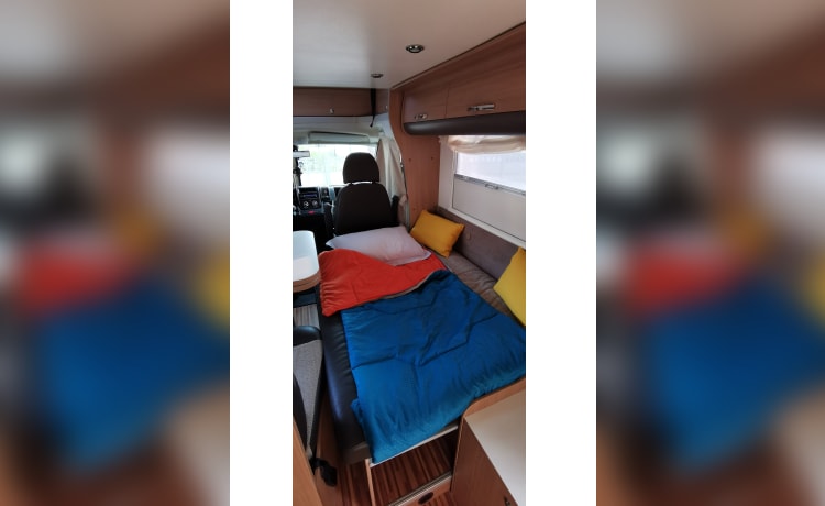 Gaspard – FIAT ADRIA MATRIX ACCESS M590