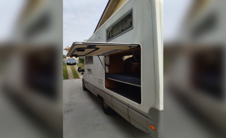 Rinus – Camper mansardato Laika Ecovip 2.1 Classic