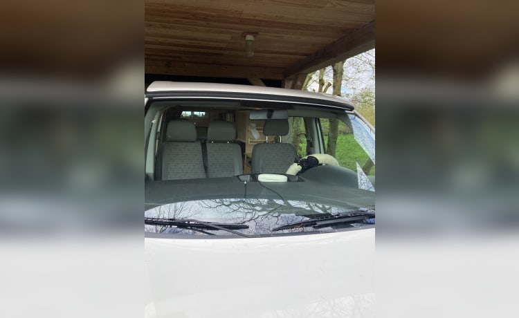 floortjes – camper vw T5 solo per amici e familiari