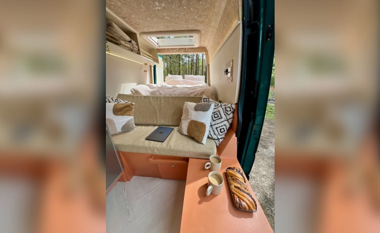 Spike – 3 berth Mercedes-Benz campervan from 2016