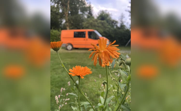 Clementine  – 2p Ford campervan uit 2009