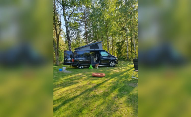 Black pearl – Volkswagen Transporter Camper automatique 