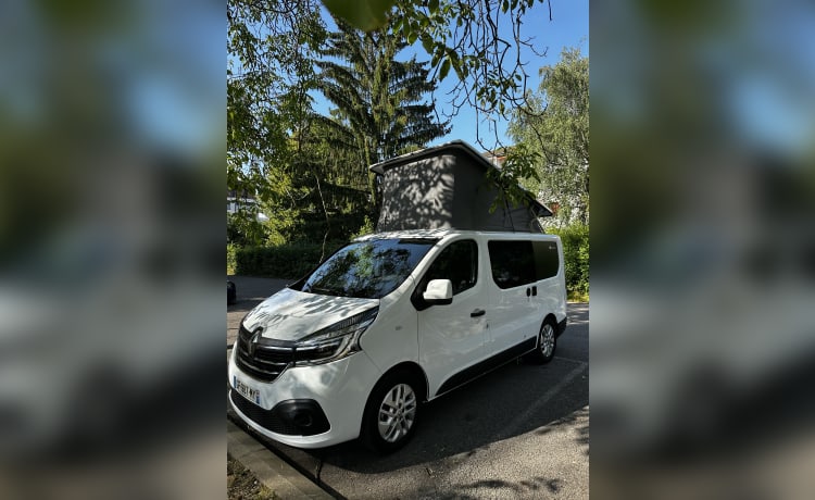 Van aménagé Renault trafic Bavaria