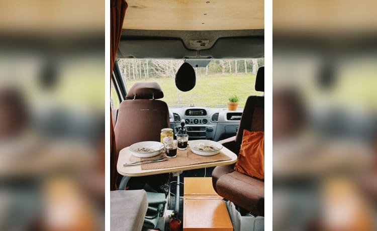 Buzzle – Discover Freedom on Wheels on our Mercedes Sprinter!