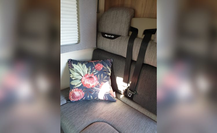 Wanderlust – 5 seatbelt / 6 berth Motorhome