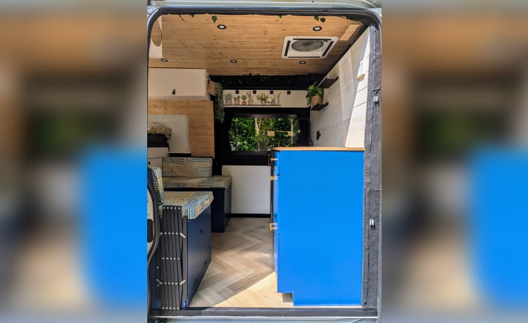 Charles – 2p BUS CAMPER per l'avventura