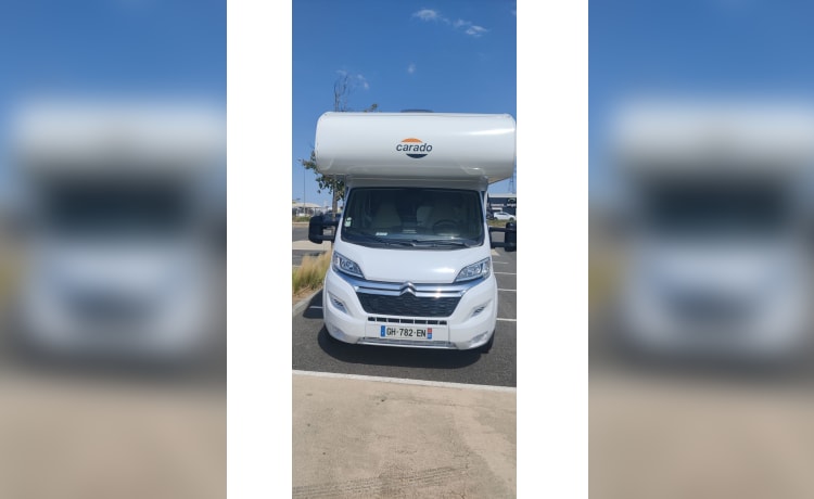 A361 – Noleggio camper mansardato corado