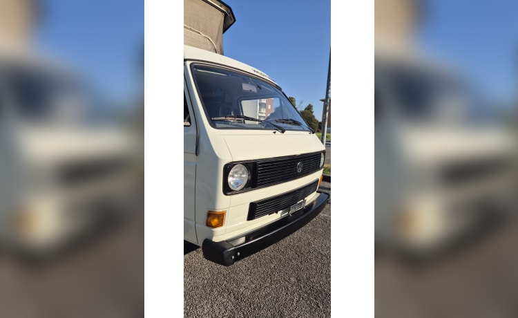 DANDY – VW T3 MITO SENZA TEMPO