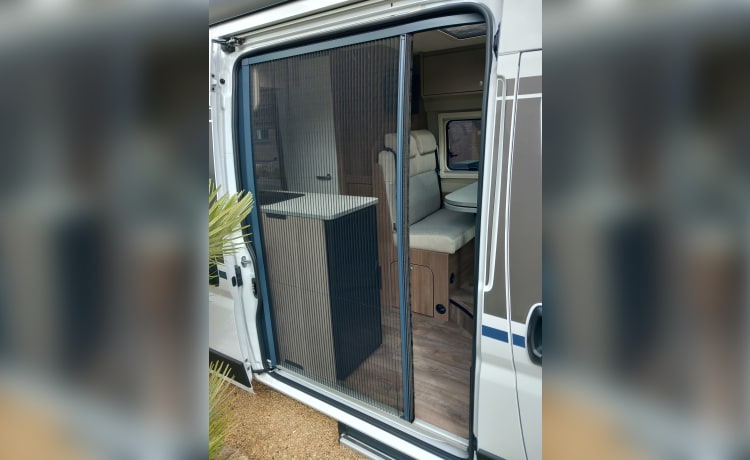 Amapola-van – For rent Carado Van from 2024