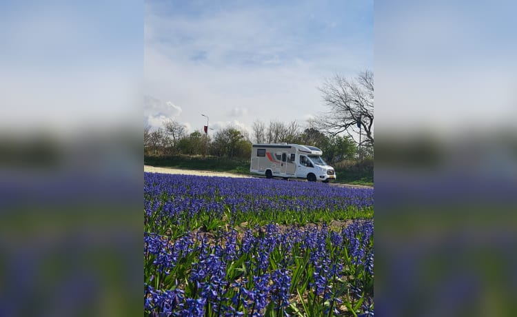 Challenger – Pleasant 4 p Ford camper from 2023