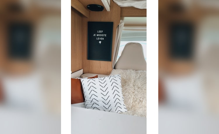 Jai the Camper – Beautiful and trendy 7p Rimor alcove from 2017