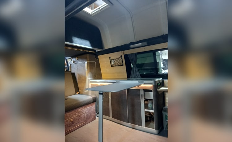 Harry – Camper autobus Volkswagen SUNLINER XL LUSSO da 5 posti, costruito nel 2023!