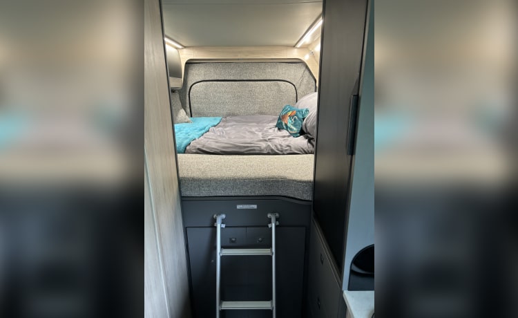 Daisy – 4 berth Autotrail bus from 2024