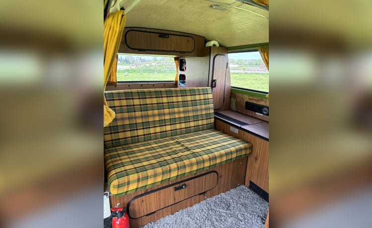 The Hulk – Westfalia – Bellissimo camper classico in affitto! 