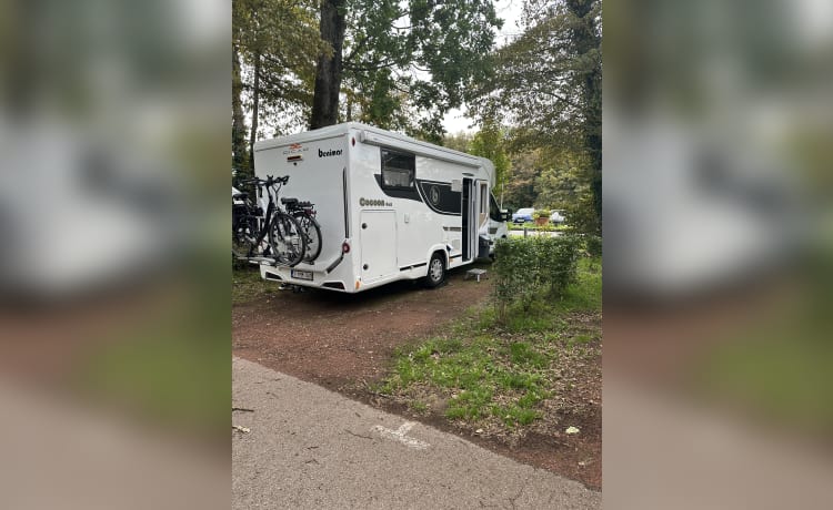 Benimar Cocoon 468 – Mobilheim DELUXE 4 Pers mit Anhängerkupplung