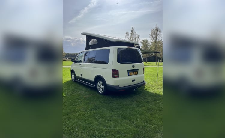 NIEUWE! 4p Volkswagen campervan uit 2004