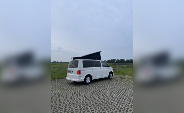 Volkswagen campervan uit 2018 inbouw 2024