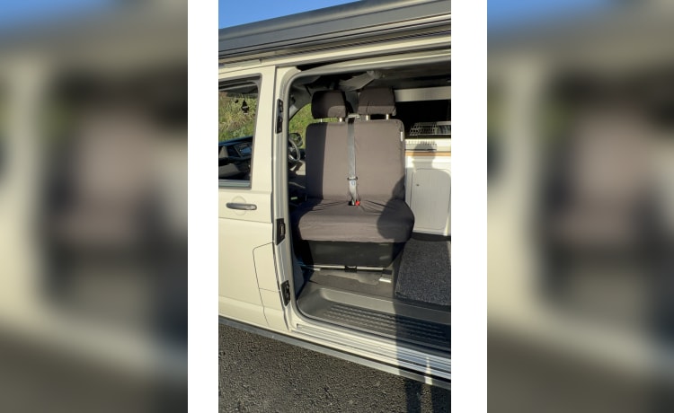 Camper Volkswagen 4 posti letto del 2020