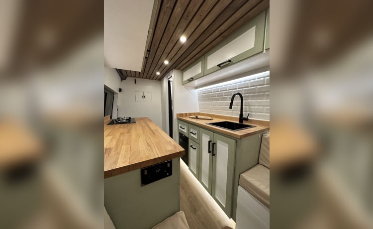 *OFF GRID* Tiny Home -2 berth Mercedes Sprinter