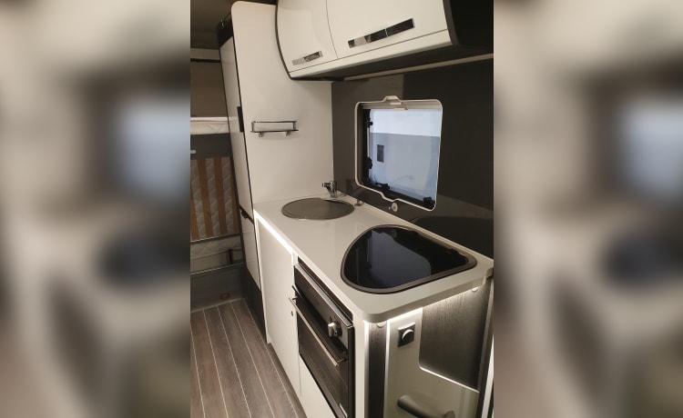 Walnut- – Luxury 6 berth Motorhome!