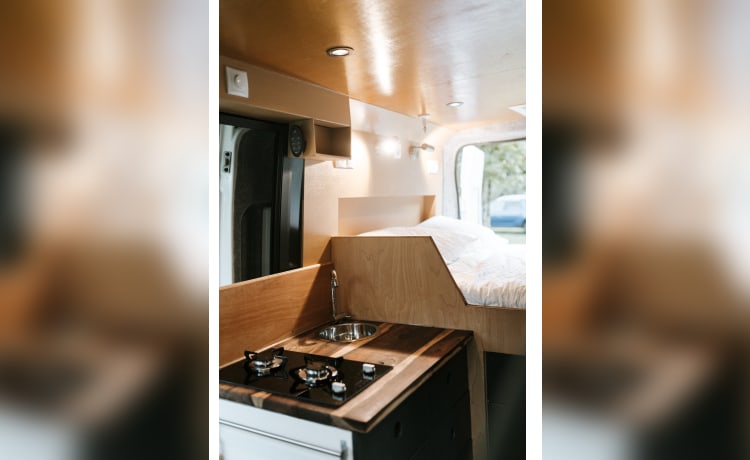 Roadturtle – Bus camper Peugeot for the ultimate holiday