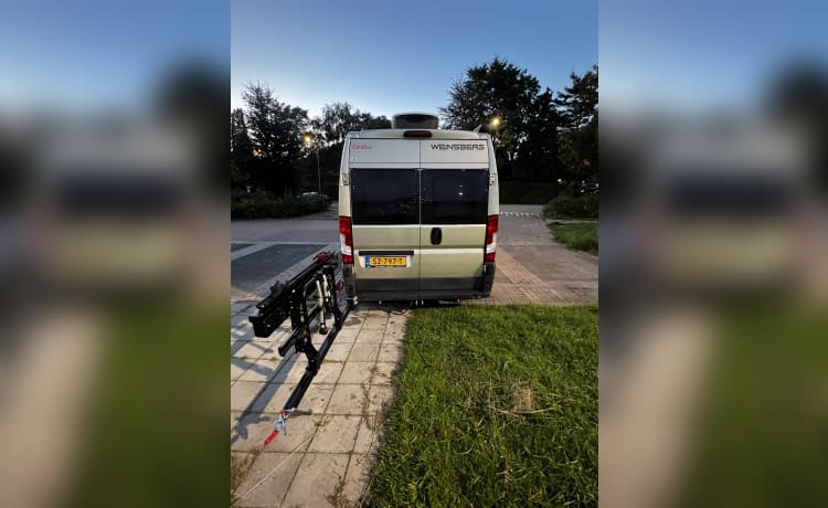 4er-Fiat-Bus aus dem Jahr 2018