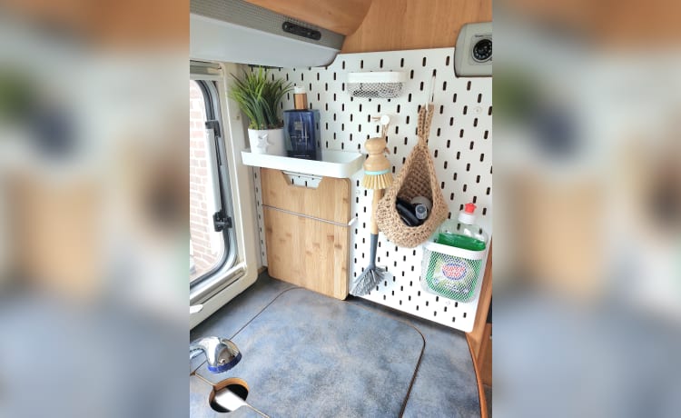 Hymer Camper mit kostenlosem Internet