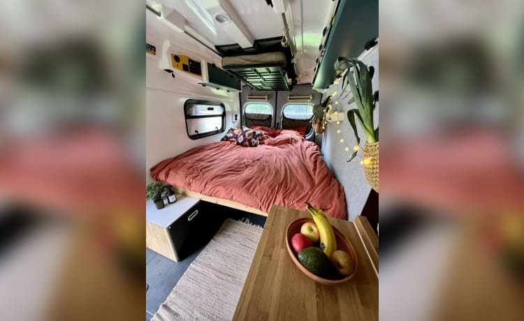 Oude ambulance camper bus 