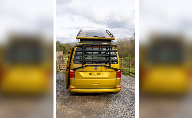 Goldbug – 4-persoons Volkswagen campervan uit 2019