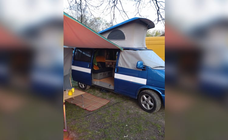 2p Volkswagen California uit 2000