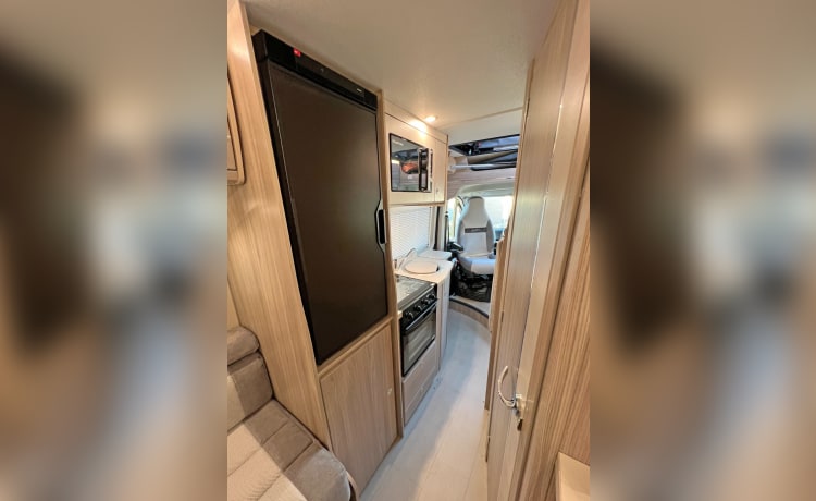 Betty George – Elddis 4 berth Automatic Campervan 2024 With Double Bed Pop Top