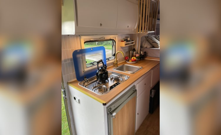 Sunny – 6 persoons Fiat Ducato Alkoof uit 2004