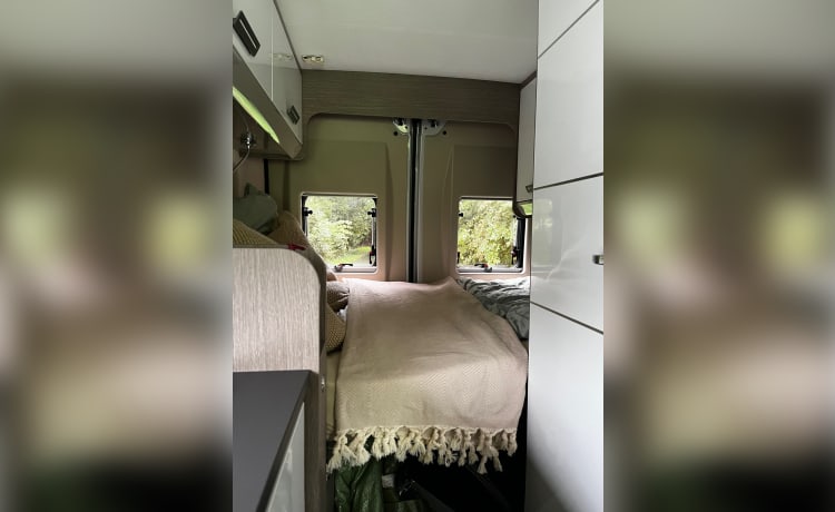 Borboleta – Fiat Ducato Challanger VIP