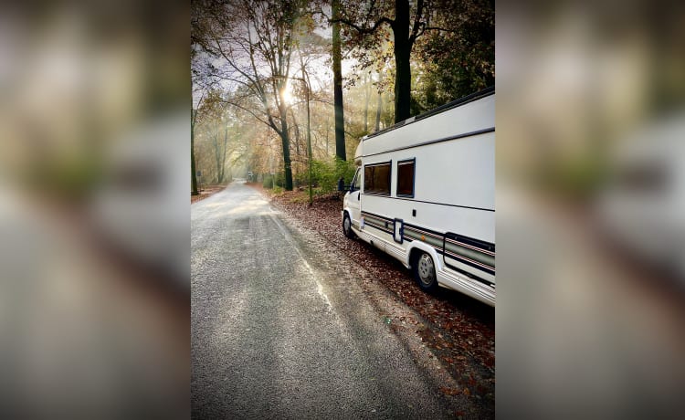 Freebird – Gezellig camper voor heerlijke roadtripjes