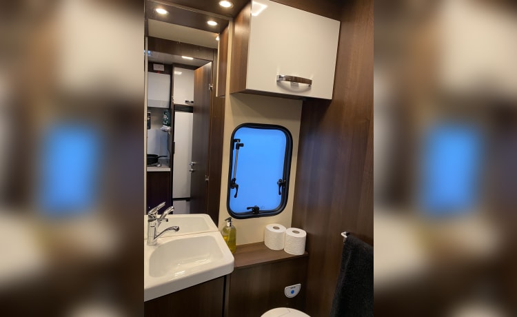 Frankie –  Frankie 6 berth Roller Team 