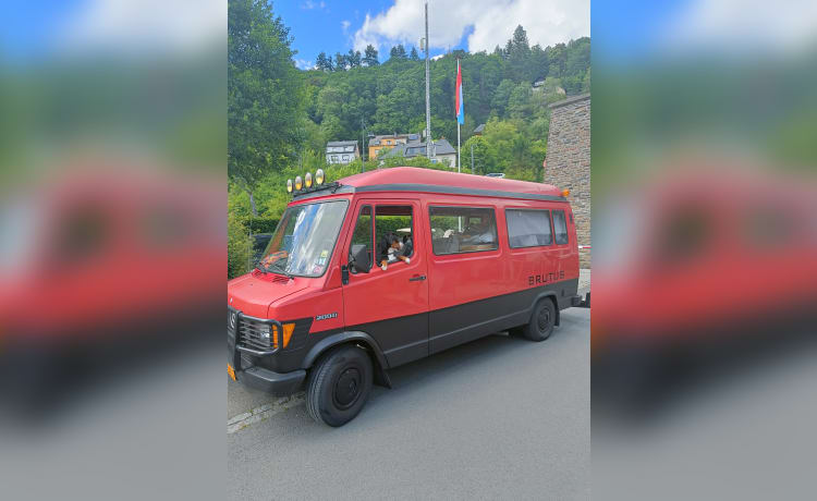 #Brutusss85 – 4er-Mercedes-Benz-Bus von 1985