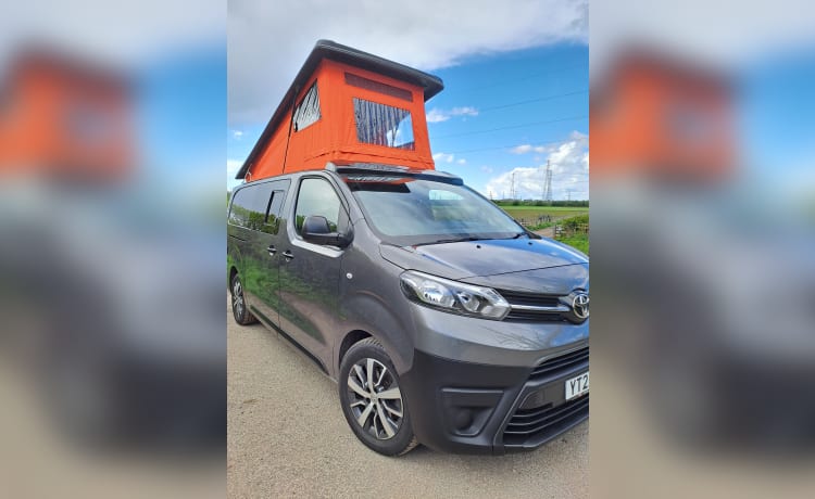 Bert – Toyota Proace Campervan mit 4 Schlafplätzen, Baujahr 2022