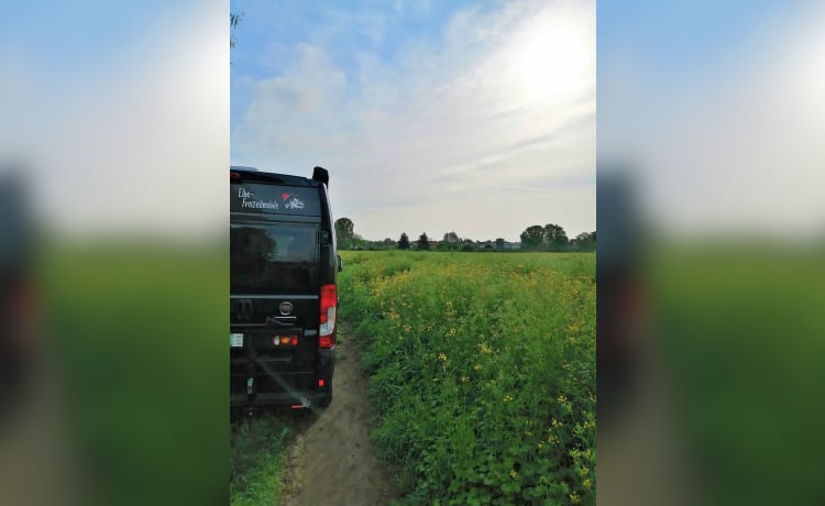 Träume erfahren–der Weg ist das Ziel! Urlaub machen, wo und wann Du willst!