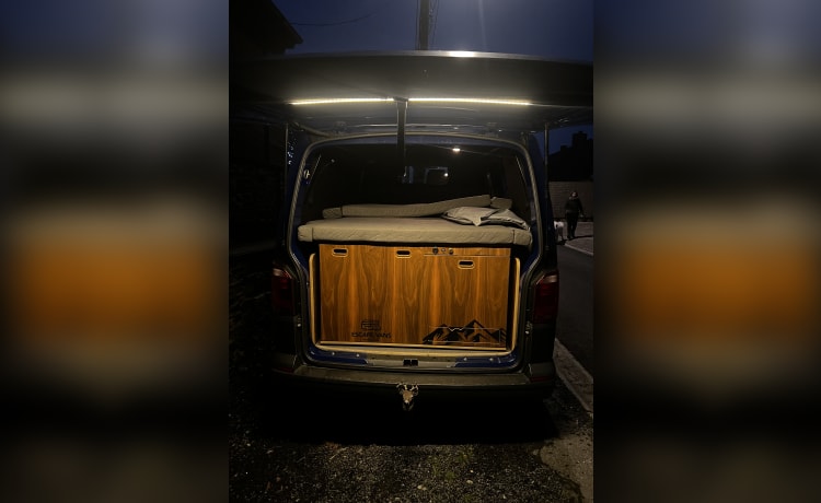 Rudolf – 2er Volkswagen Bus von 2018