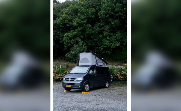 Stein – Volkswagen T5 California 4motion