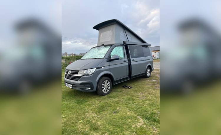 Trans LWB Auto – VW Transporter T6.1 (LWB) Automatique - Neuf